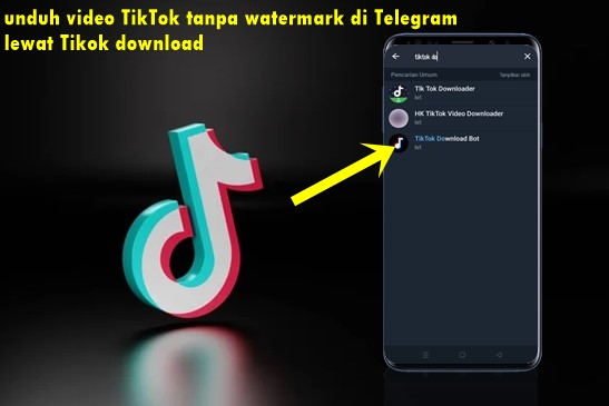 cara unduh video TikTok tanpa watermark di Telegram lewat TikTok download