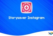 Storysaver Instagram