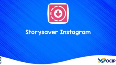 Storysaver Instagram