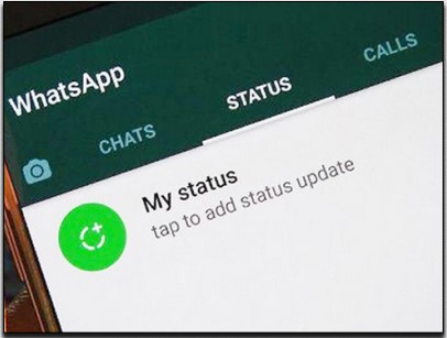 1. Live Status WhatsApp