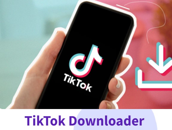 Website Download Video TikTok Lainya