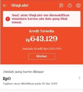 8 Penyebab Shopee Paylater Dinonaktifkan Sementara 8 Penyebab Shopee Paylater Dinonaktifkan Sementara