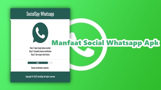 manfaat social whatsapp apk