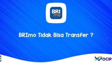 BRImo Tidak Bisa Transfer?
