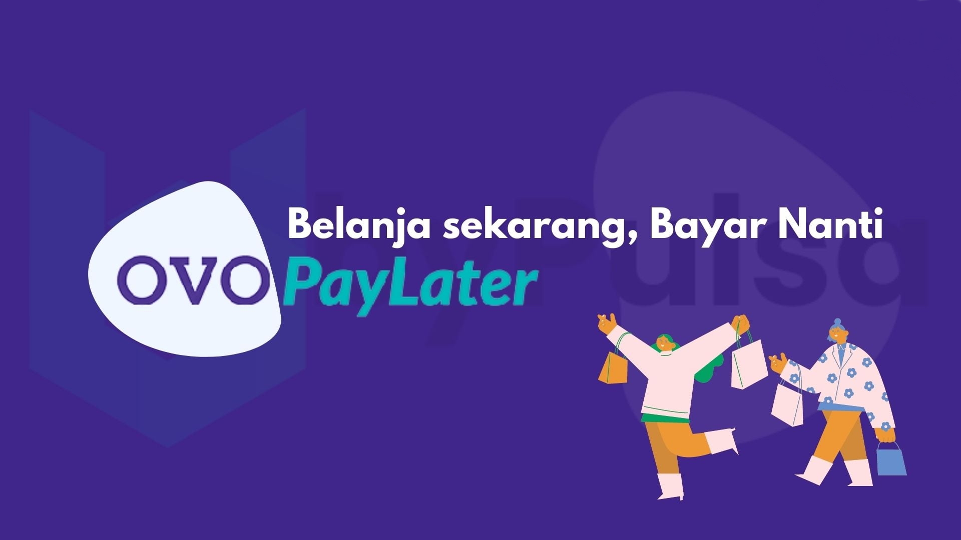 Sekilas Tentang OVO PayLater