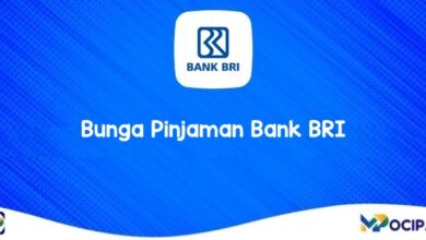 Bunga Pinjaman Bank BRI