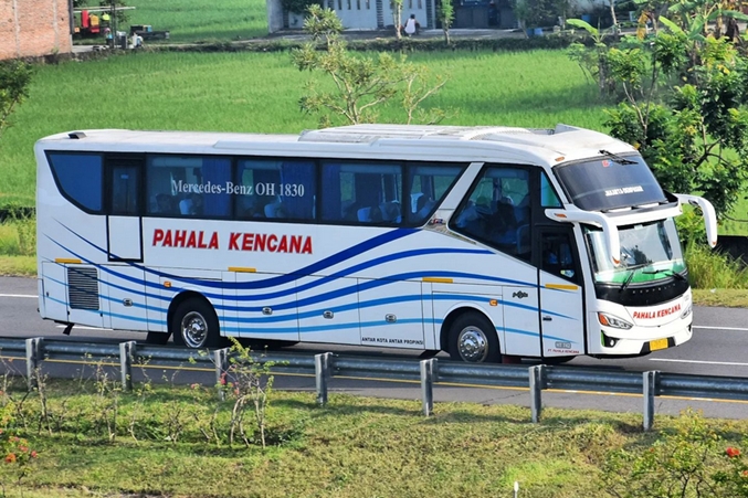 Agen Bus Pahala Kencana Terdekat Area Jakarta