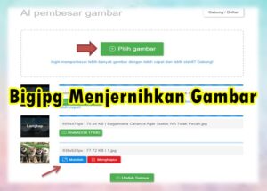 Bigjpg Menjernihkan Gambar: Ubah Gambar Menjadi Tampak Lebih Jelas ...