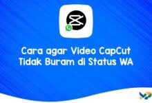 Cara agar Video CapCut Tidak Buram di Status WA