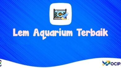 Merek Lem Aquarium Terbaik Yang Kuat dan Tahan Lama