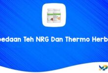 Perbedaan Teh NRG dan Thermo Herbalife