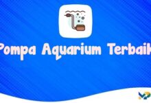 Rekomendasi Pompa Aquarium Terbaik 2024
