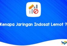 Kenapa Jaringan Indosat Lemot ?