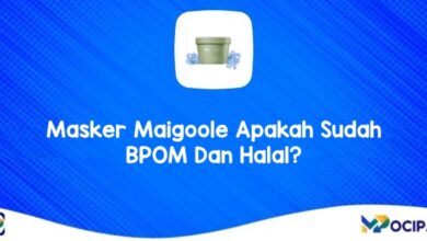 Masker Maigoole Apakah Sudah BPOM dan Halal?