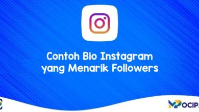 Contoh Bio Instagram yang Menarik Followers