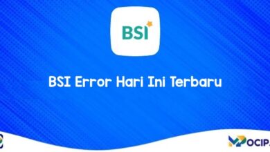 BSI Error Hari Ini 2024 Terbaru