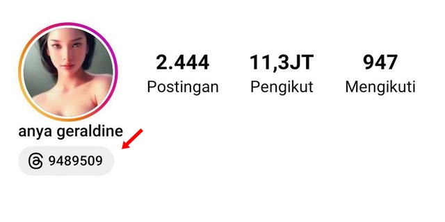 Cara Menampilkan Threads Di Bio Instagram