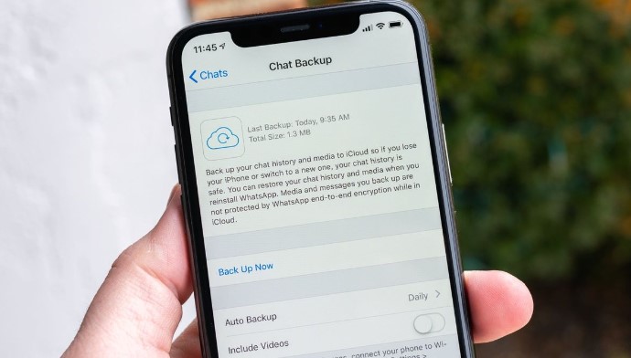 Cara Mencadangkan Otomatis Chat WhatsApp di iPhone