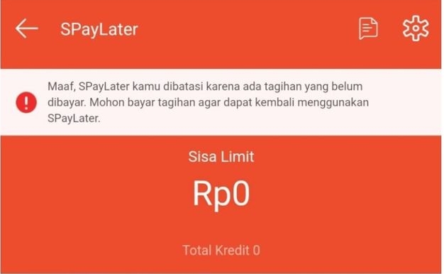 Pembatasan Akses Shopee PayLater