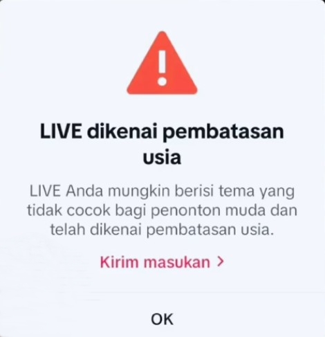 Penyebab Live TikTok Diblokir Sementara dan Permanen 