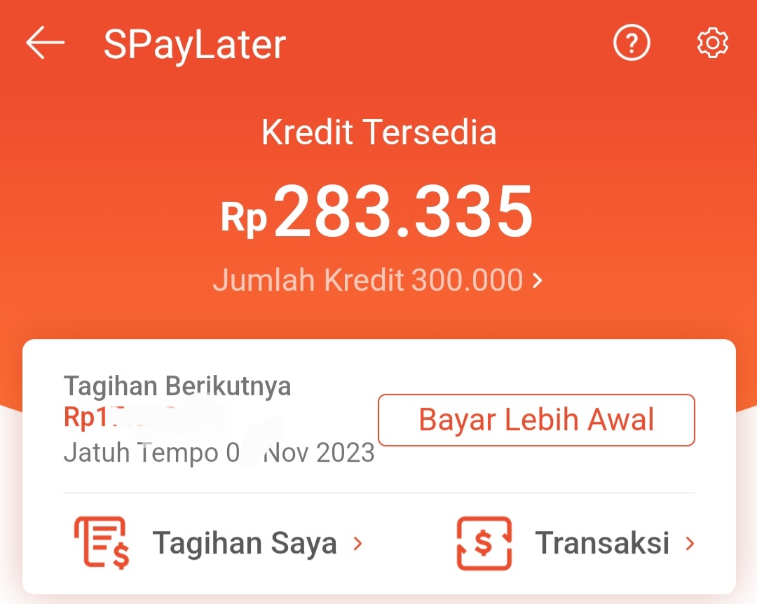 Sekilas Tentang Shopee PayLater