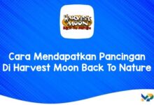 Cara Mendapatkan Pancingan Di Harvest Moon Back To Nature