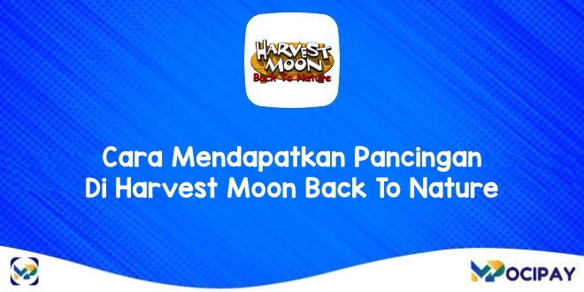 Cara Mendapatkan Pancingan Di Harvest Moon Back To Nature