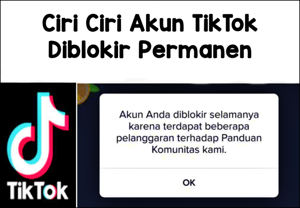 Penyebab dan Ciri Ciri Akun TikTok Diblokir Permanen, Begini Cara Mengembalikannya Dengan Mudah