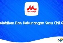 Kelebihan Dan Kekurangan Susu Chil Go