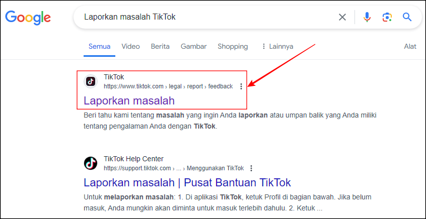 Penyebab dan Ciri Ciri Akun TikTok Diblokir Permanen, Begini Cara Mengembalikannya Dengan Mudah