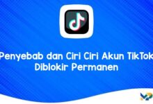 Penyebab dan Ciri Ciri Akun TikTok Diblokir Permanen