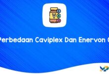 Perbedaan Caviplex Dan Enervon C