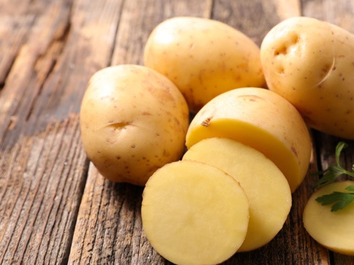 Harga Kentang 1 kg, kentang kuning