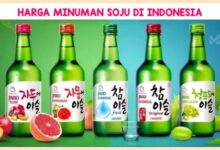 Harga Minuman Soju Di Indonesia