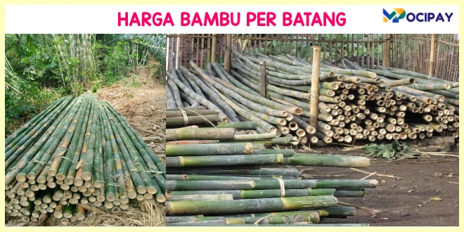 Harga Bambu Per Batang