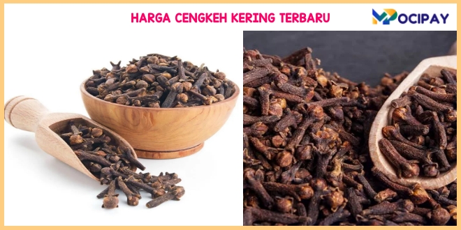 Harga Cengkeh Kering 2023