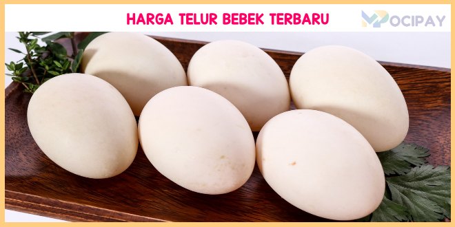 Harga Telur Bebek Mentah