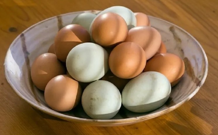 kelebihan dan kekurangan telur asin untuk kesehatan