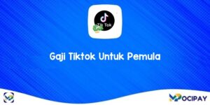 Gaji Tiktok Untuk Pemula