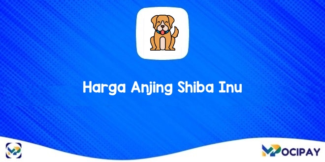 Harga Anjing Shiba Inu
