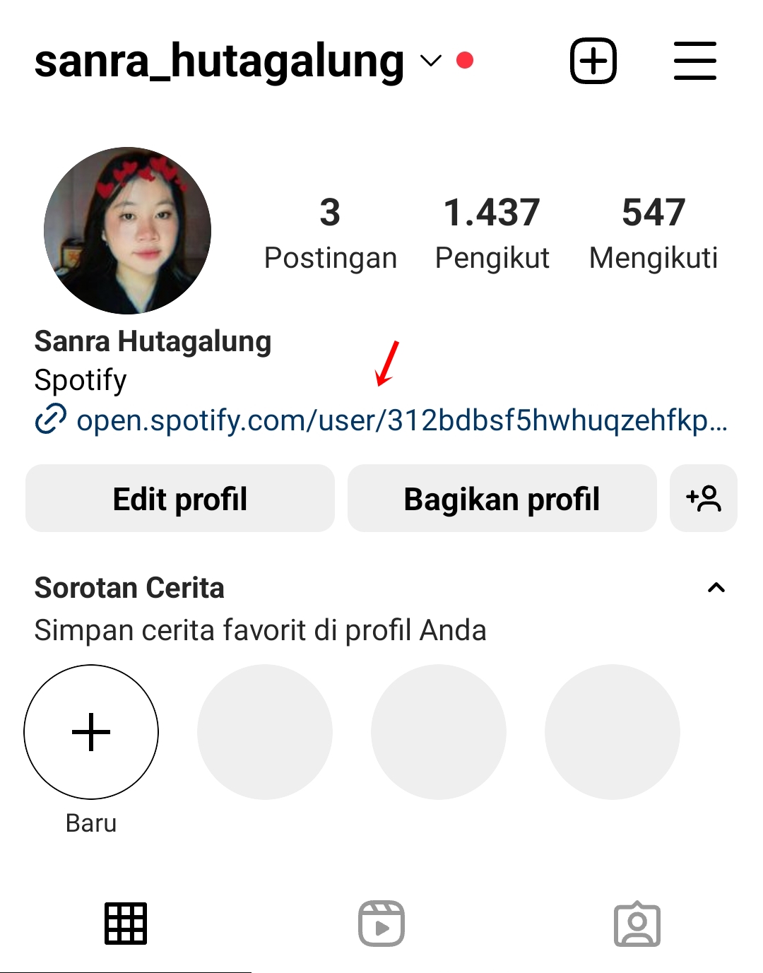 Cara Membuat Link Spotify Di Bio Instagram Terbaru 2024