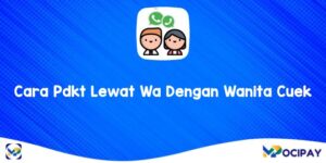 Cara Pdkt Lewat Wa Dengan Wanita Cuek