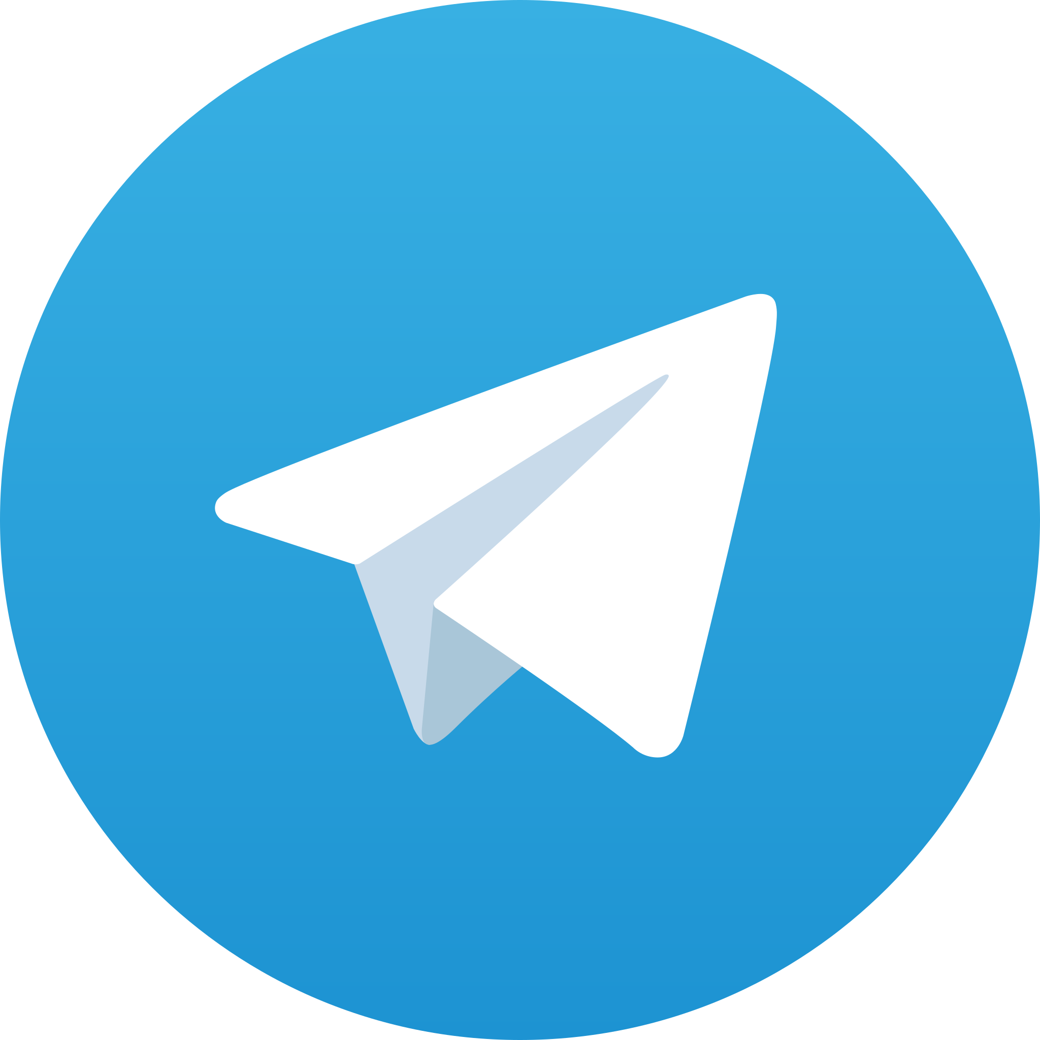 Sekilas Tentang telegram