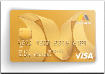 4. Mega Visa Gold