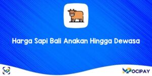 Harga Sapi Bali Anakan Hingga Dewasa