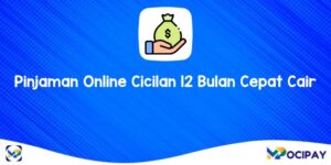 Pinjaman Online Cicilan 12 Bulan Cepat Cair